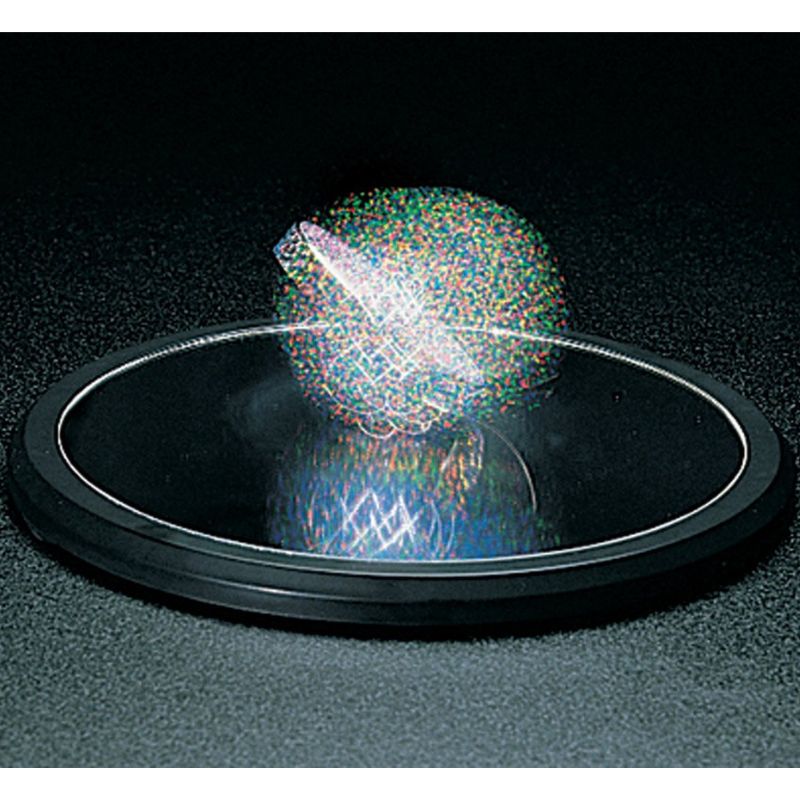 Euler’s Disk