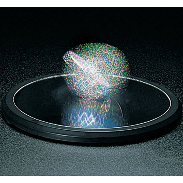 Euler’s Disk