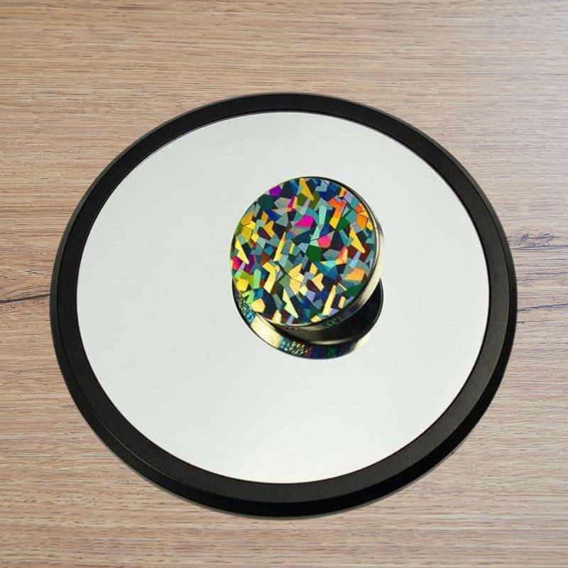 Euler’s Disk