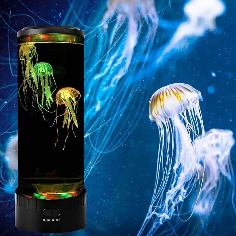 Jellyfish Lava Lamp